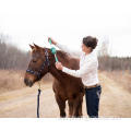 horse relax magnet therapy roller stick
